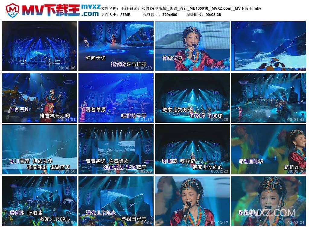 王莉-藏家儿女的心(现场版)_国语_流行_MB105618